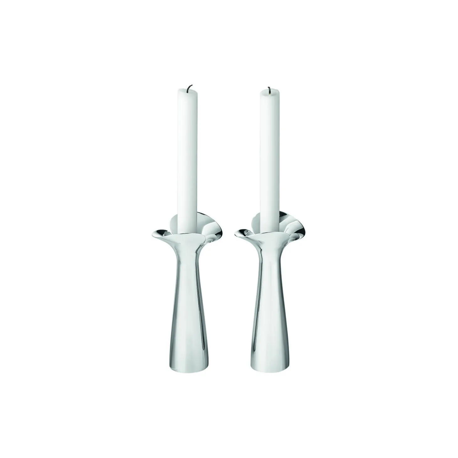 Bloom Botanica lysestage