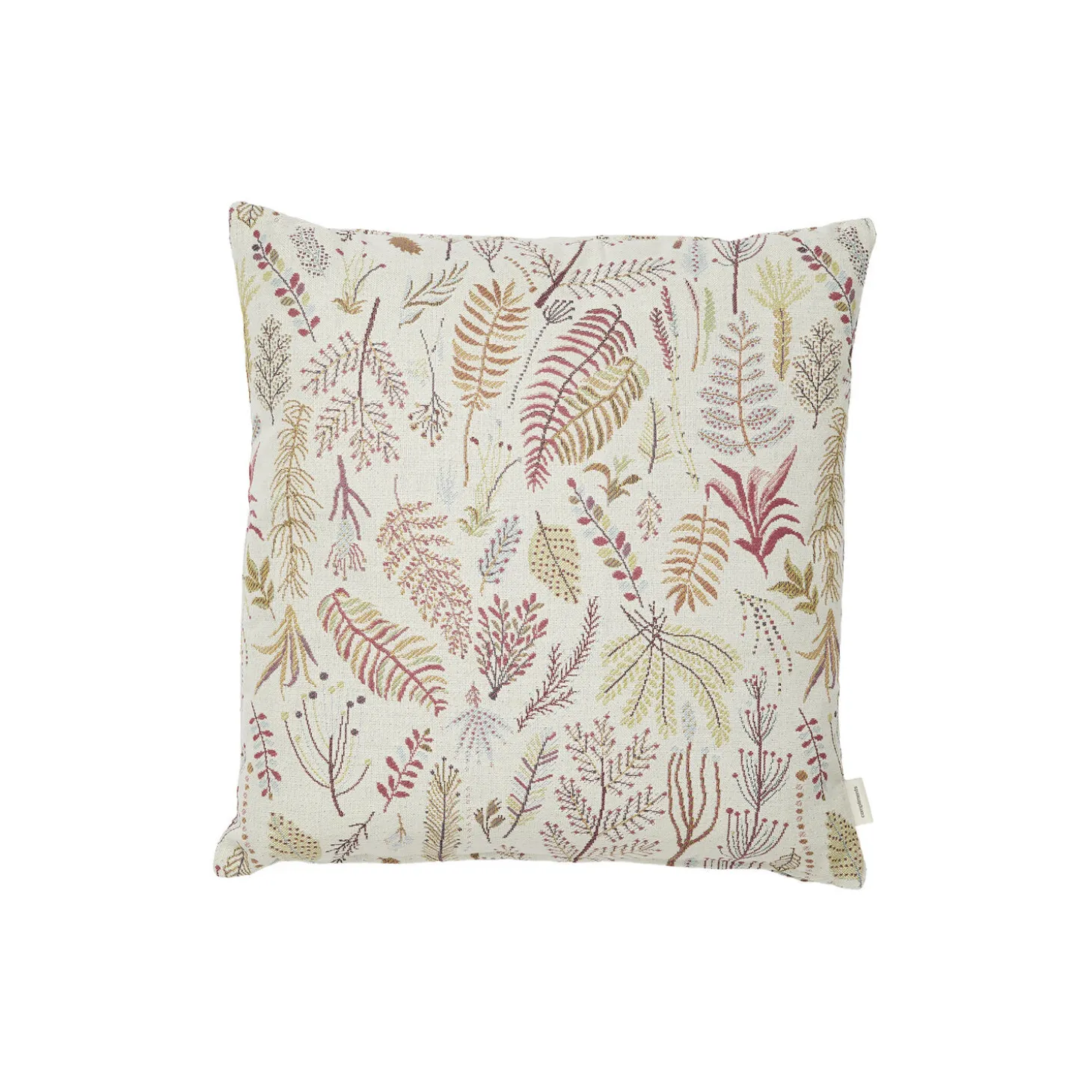 Botanica pude, rose