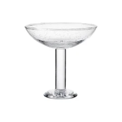 Bubble Glass Champagne Coupe