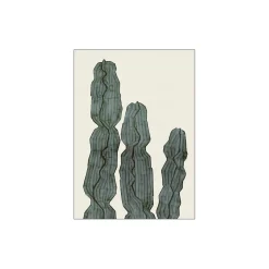 Cactus Euphorbia