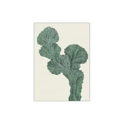 Cactus Myrtillo