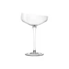Champagne Coupe