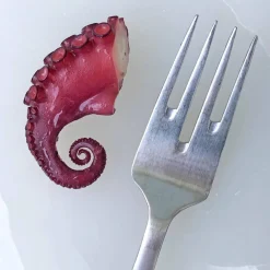 Fiskegaffel