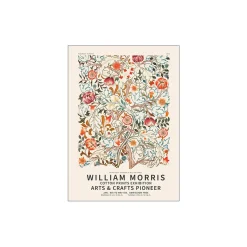 Fleurs et plantes