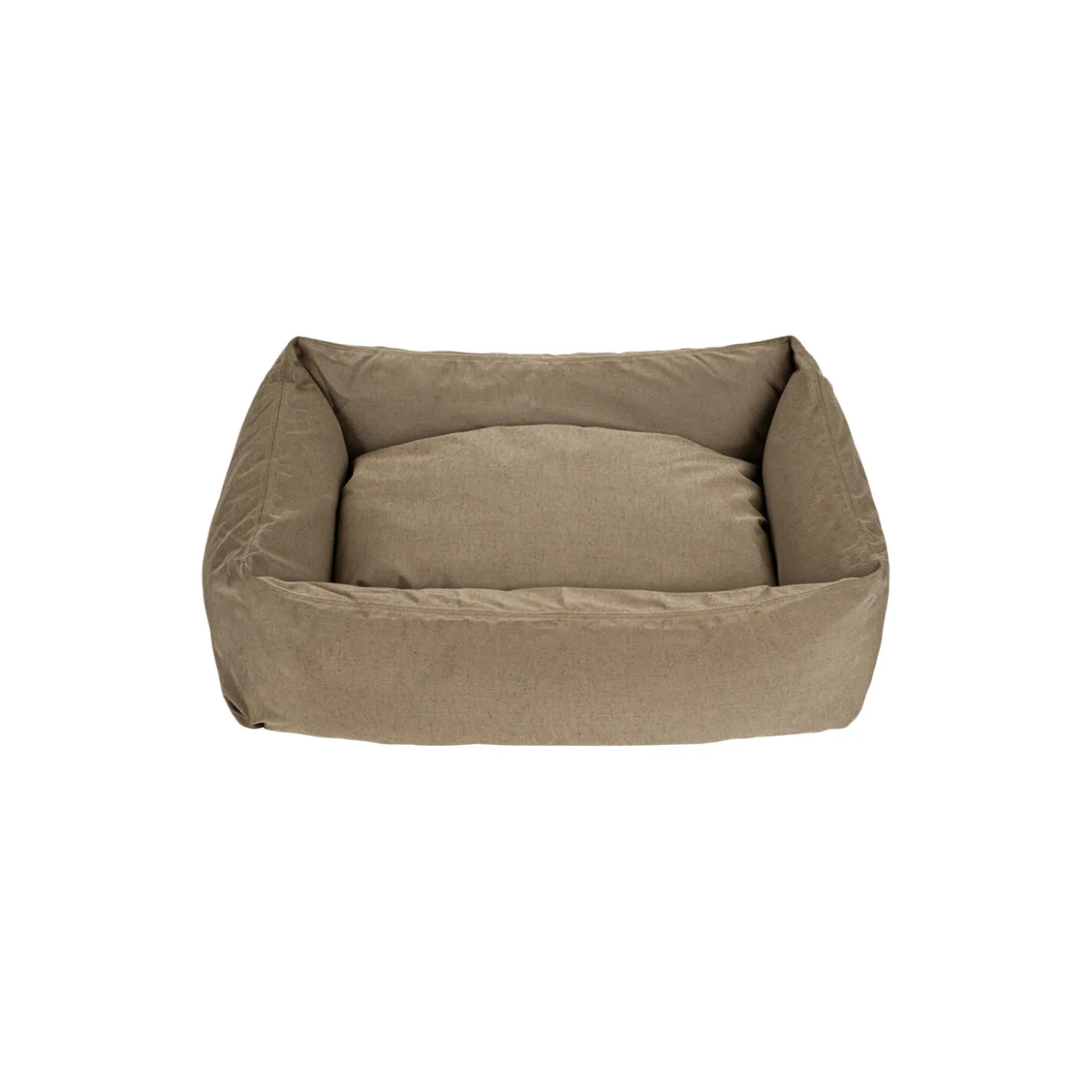 Hundeseng, khaki