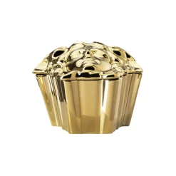Medusa Box