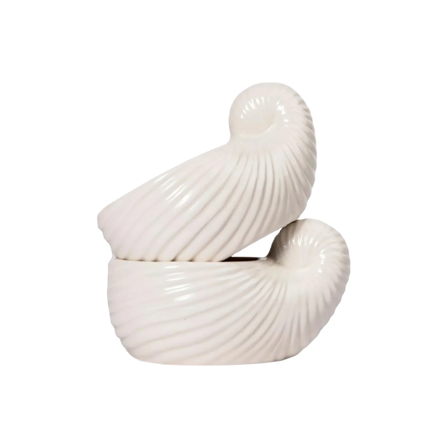 ShelleyCup 2 pcs