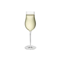 Sky champagnefløjte 6 stk.